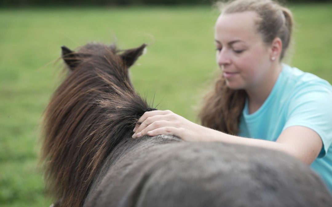 5 idées reçues sur l’ostéopathie animale