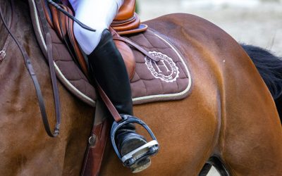 Cheval inconfortable sous la selle : reconnaître 8 signaux avant que la douleur s’installe